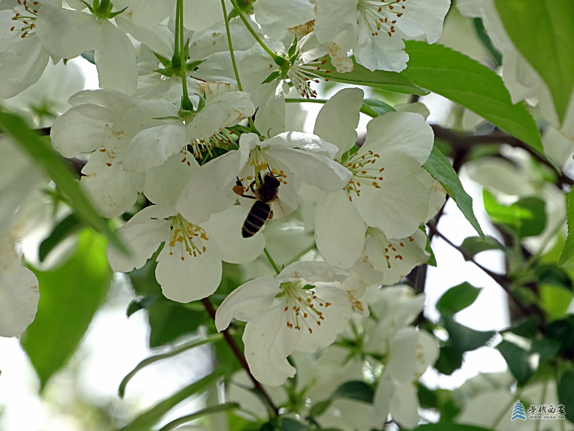 DSC08417 - 副本.jpg