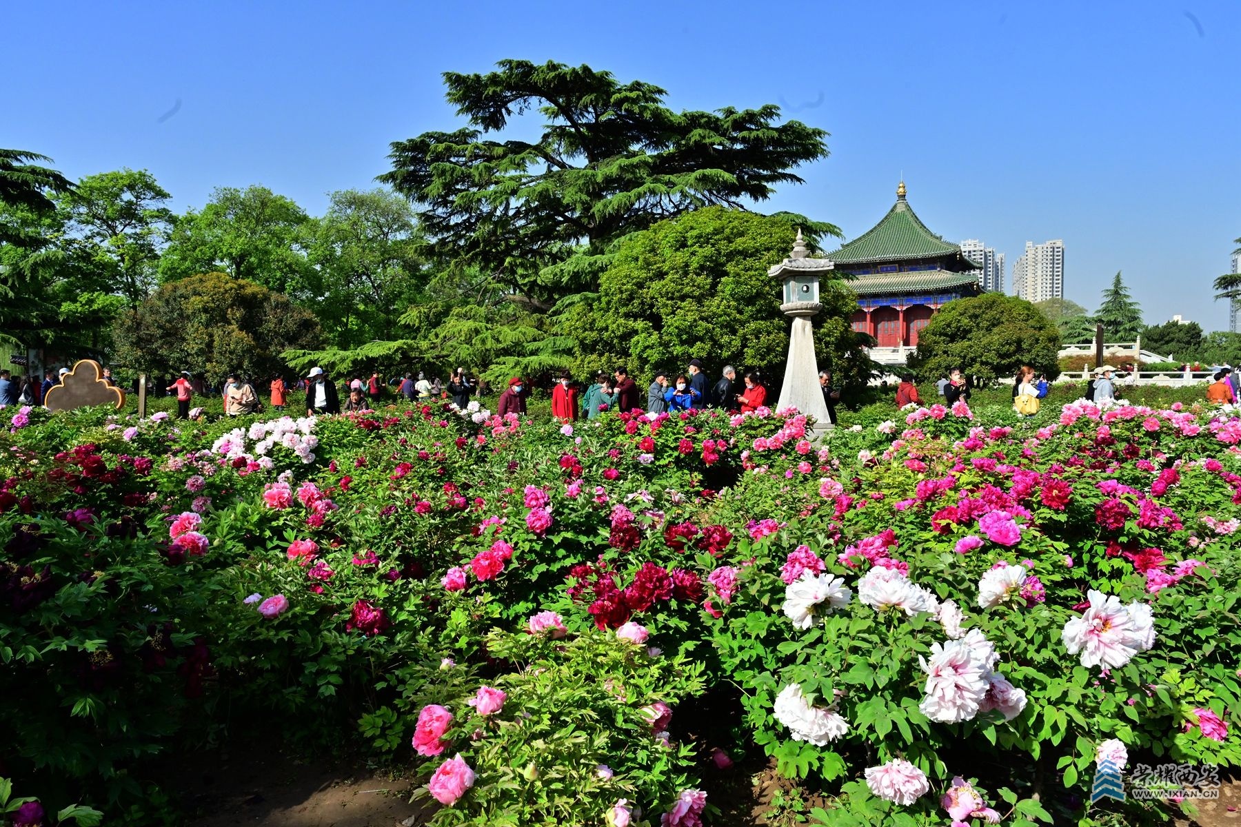 DSC_4712_副本.jpg