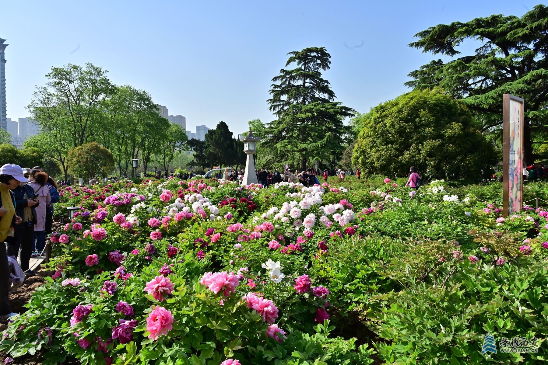 DSC_4700_副本.jpg