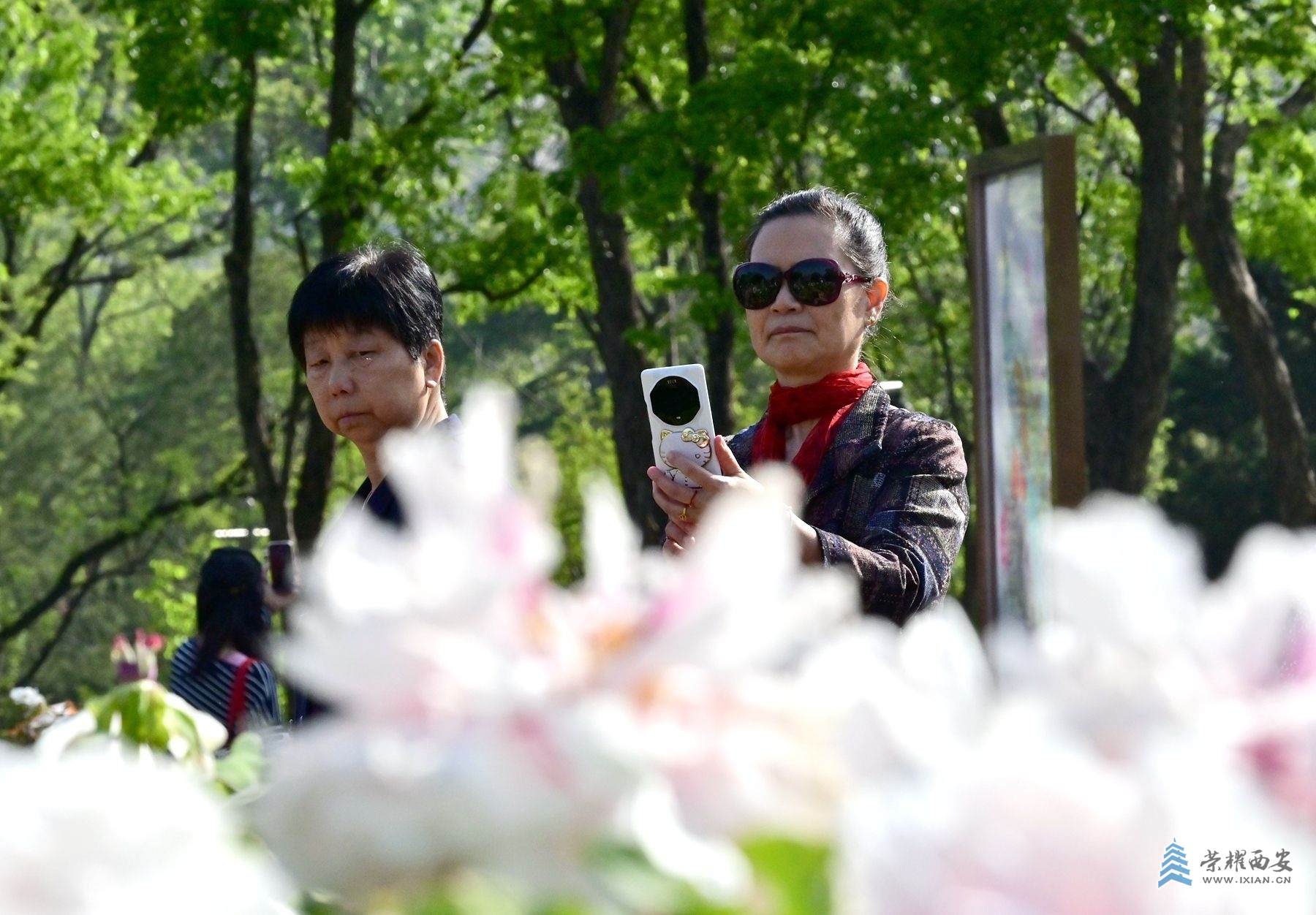 DSC_4674_副本.jpg