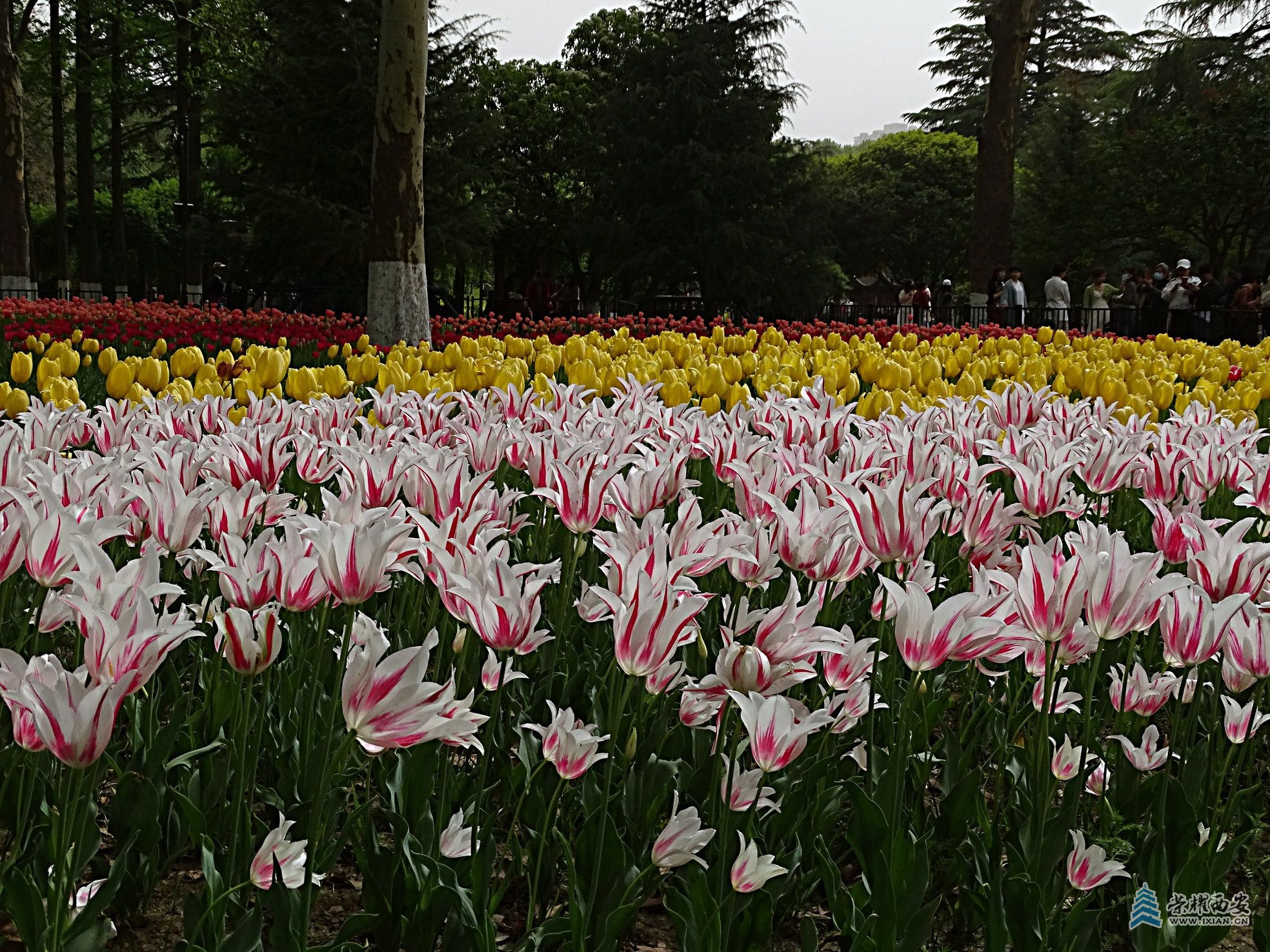 DSC08571 - 副本.jpg