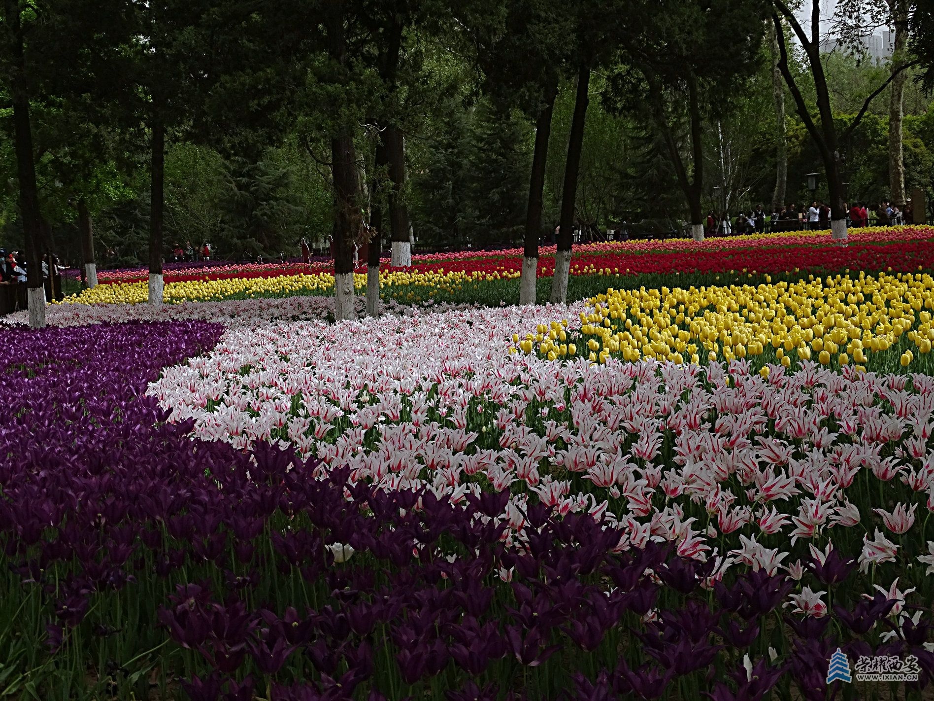 DSC08570 - 副本.jpg