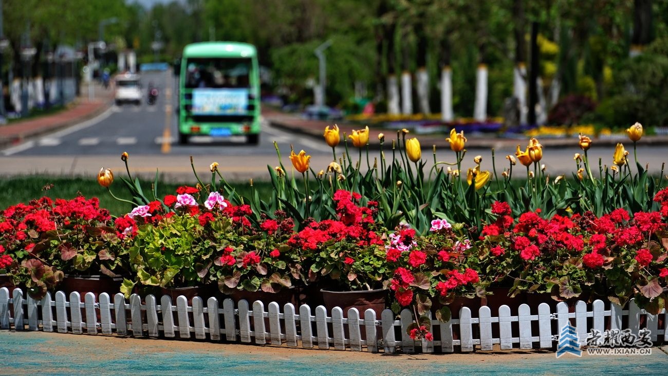 -秦岭国家植物园011.JPG