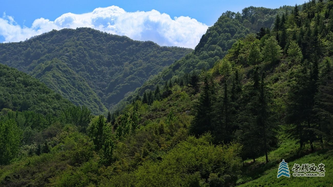 -秦岭国家植物园038.JPG