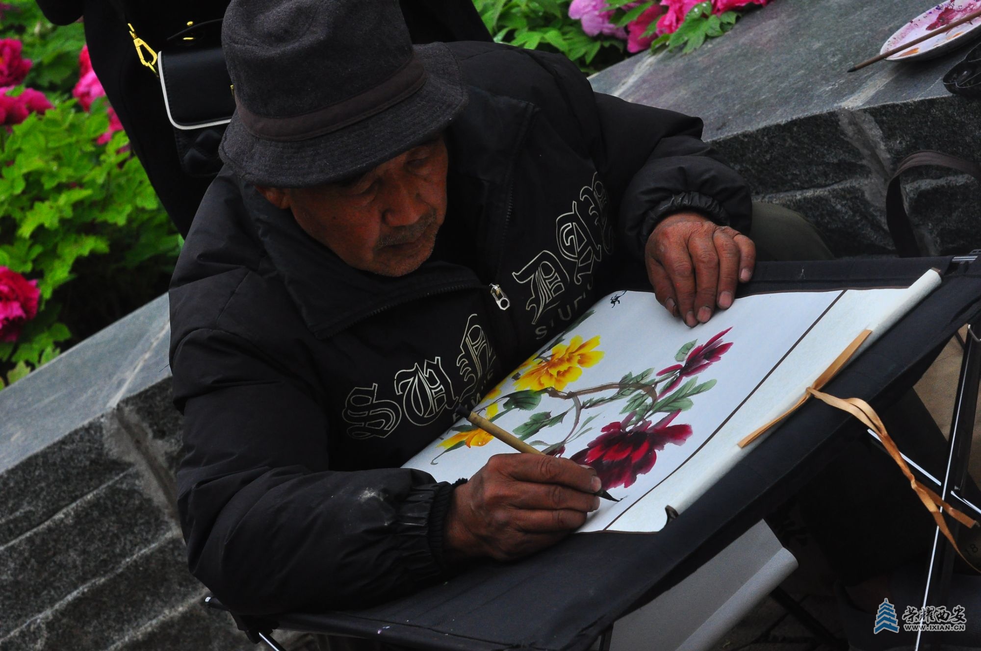 DSC_0972.JPG