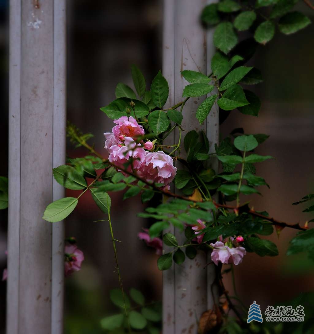 20230423201027front2_0_627177_FtKxR-x1K5r7y0Rv-YpWHObRVnL7.jpg