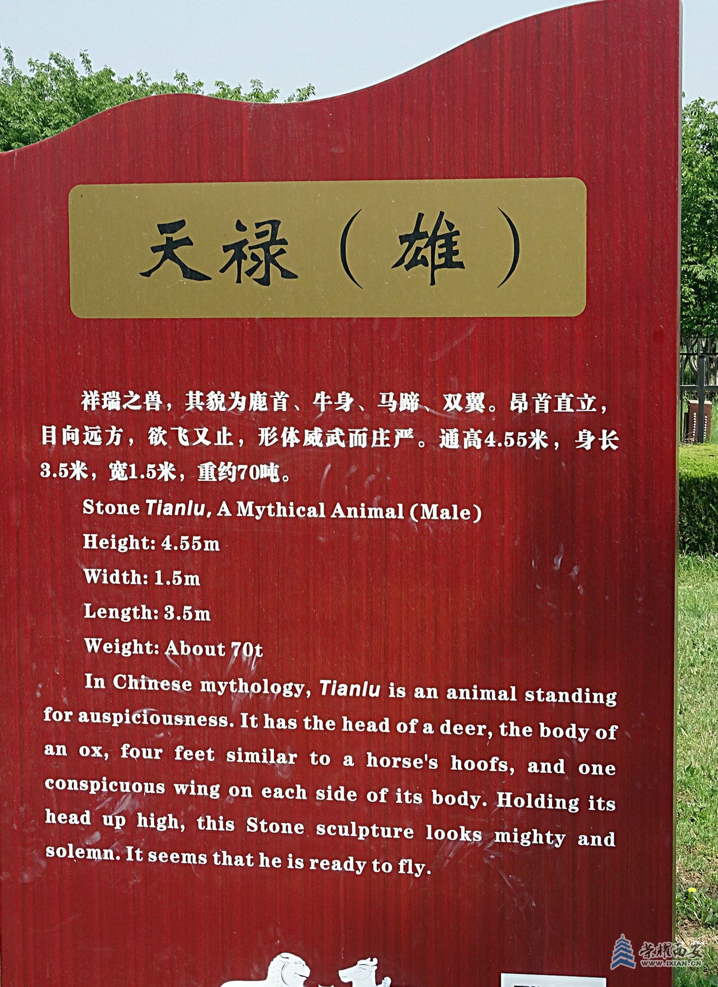 DSC08712.jpg