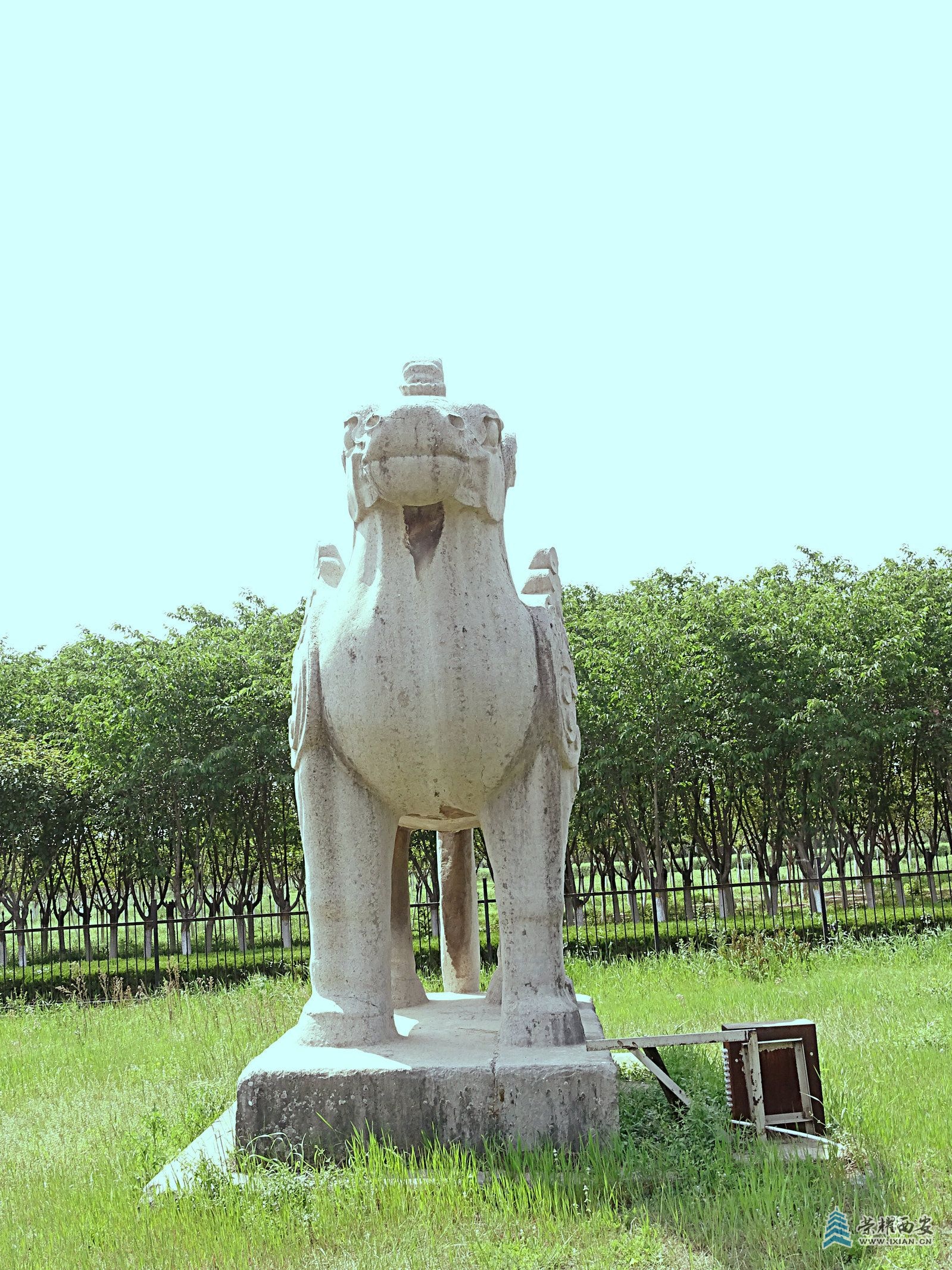 DSC08708.jpg