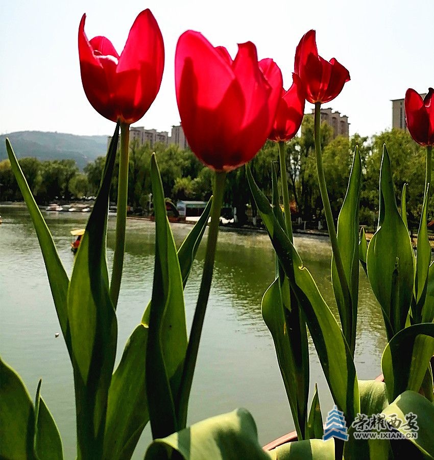 53acd27b9e96754dd31514f360aa30c_副本.jpg