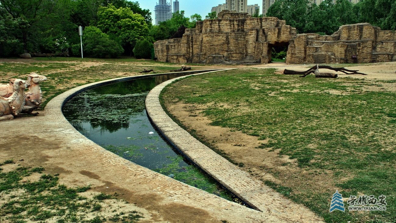 -植物园029.JPG