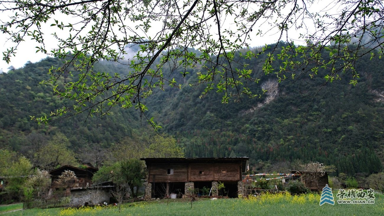 雾里村036.JPG