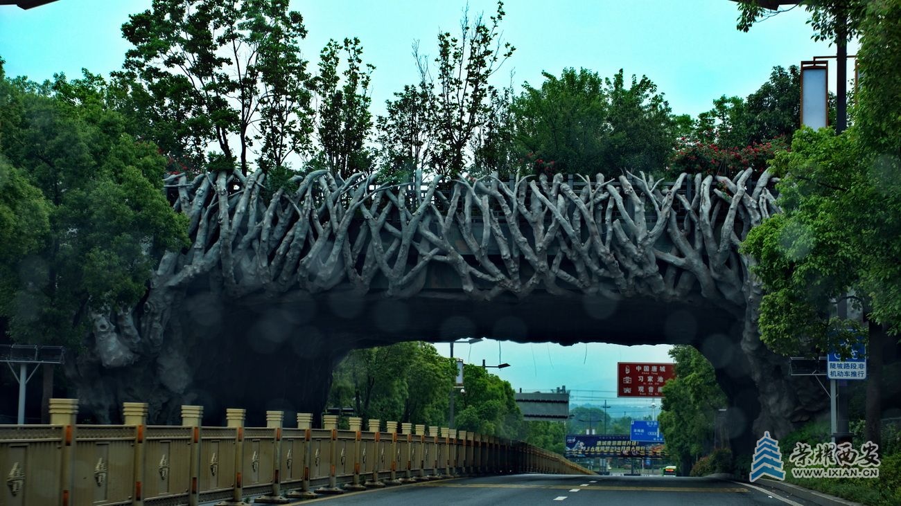 -习家池11.JPG
