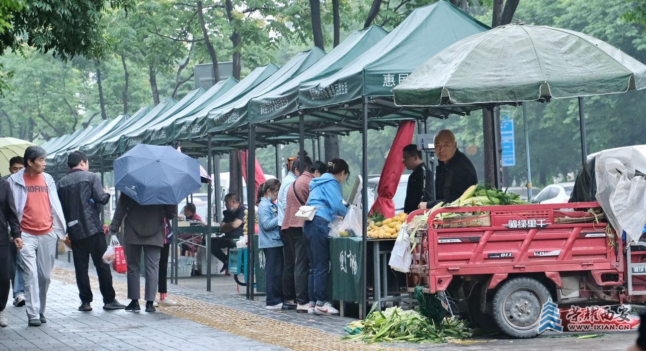 西安雨季34.JPG