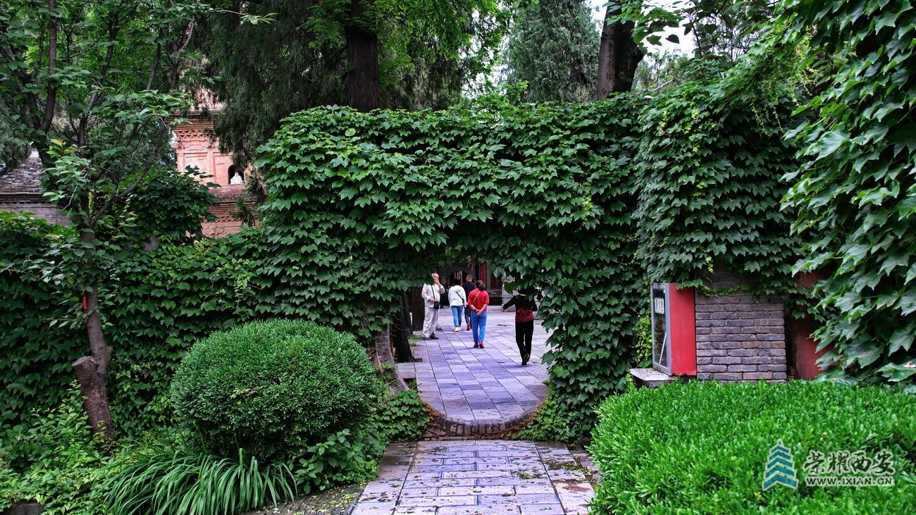 兴教寺40.JPG