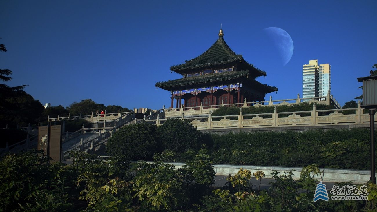 兴庆公园10.JPG