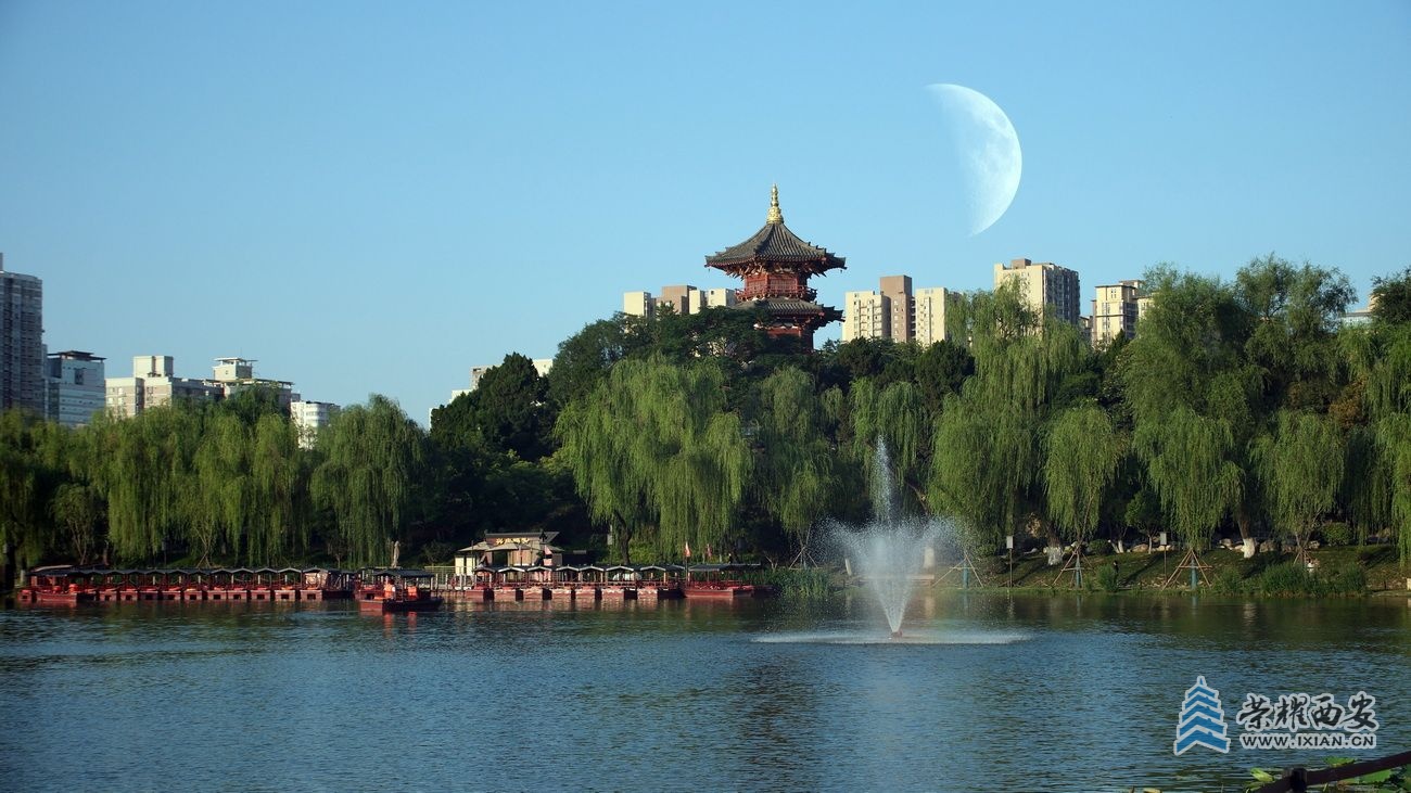 兴庆公园36.JPG