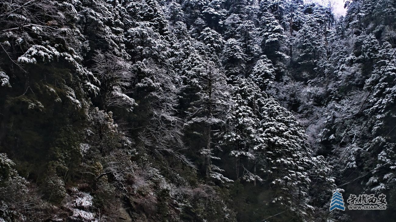 独龙江34.JPG
