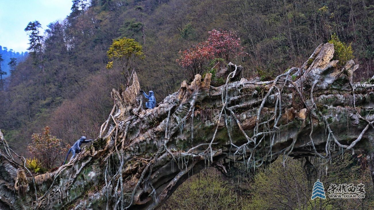 独龙江46.JPG