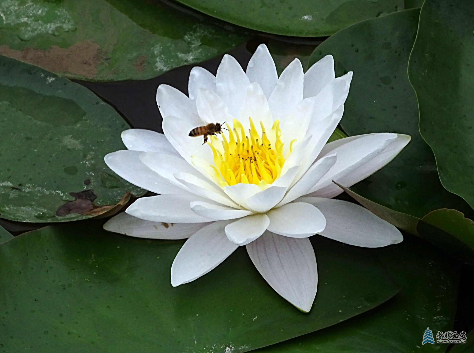 DSC09146_1.jpg