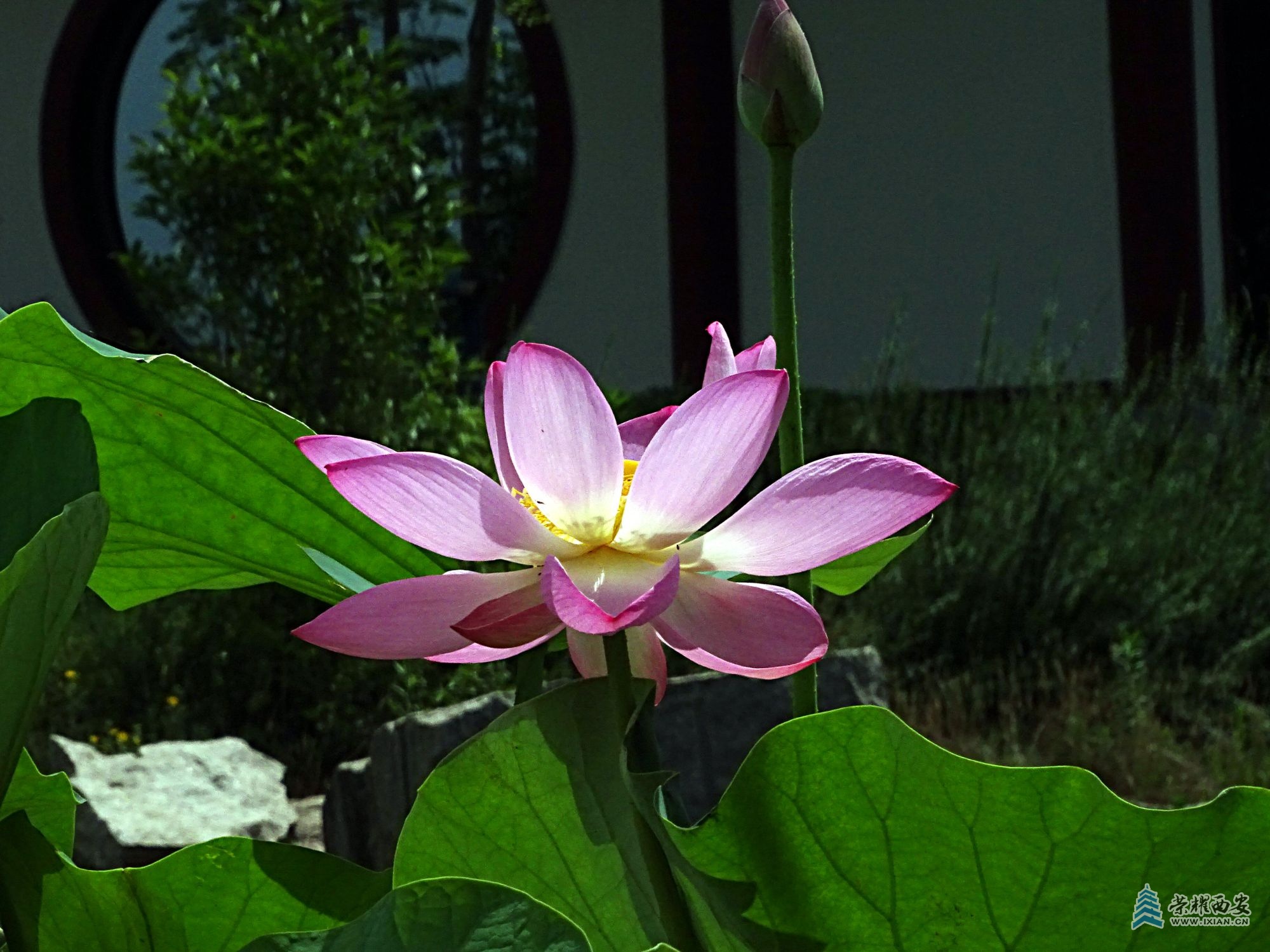 DSC09196.jpg