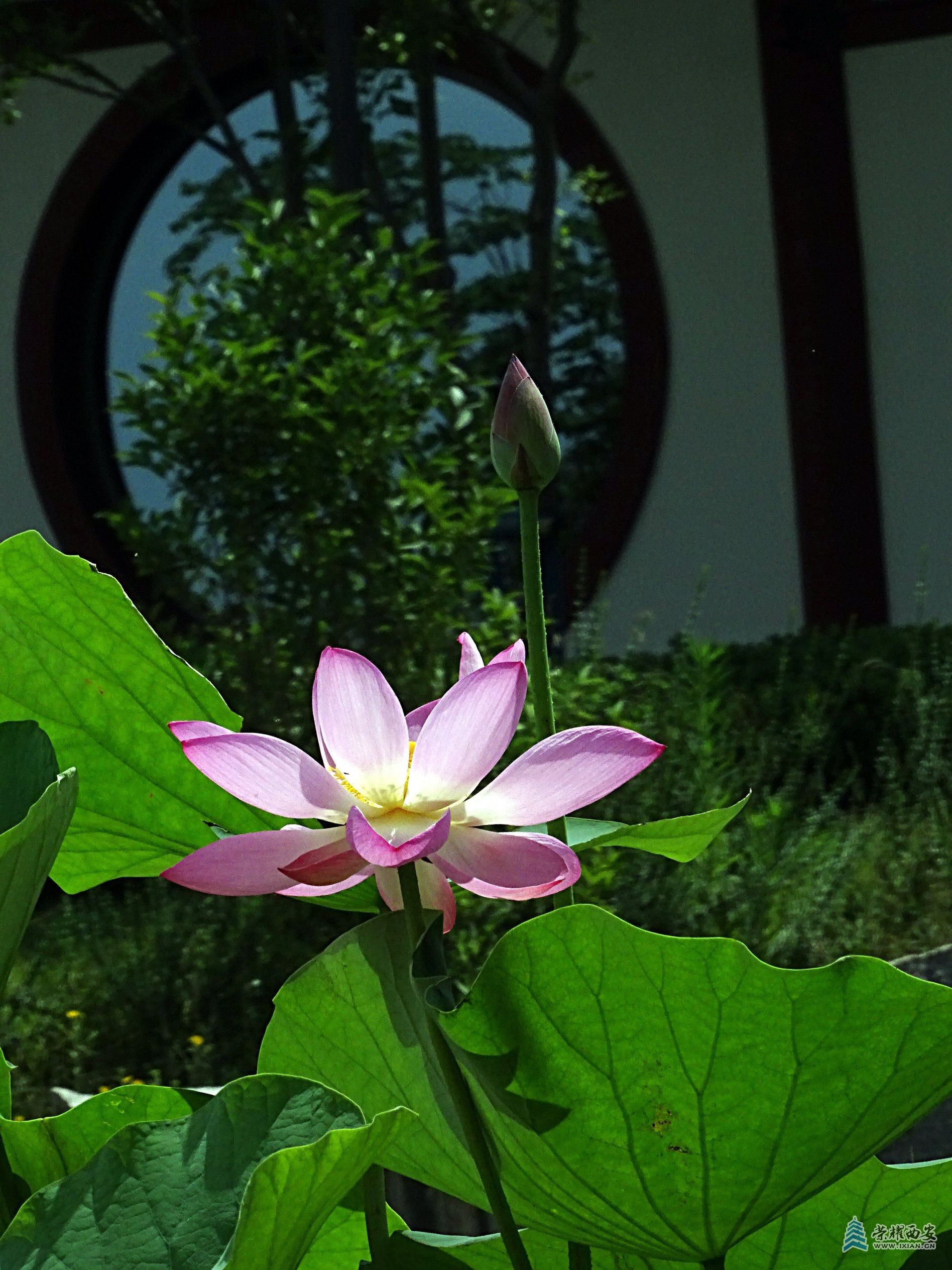DSC09204.jpg