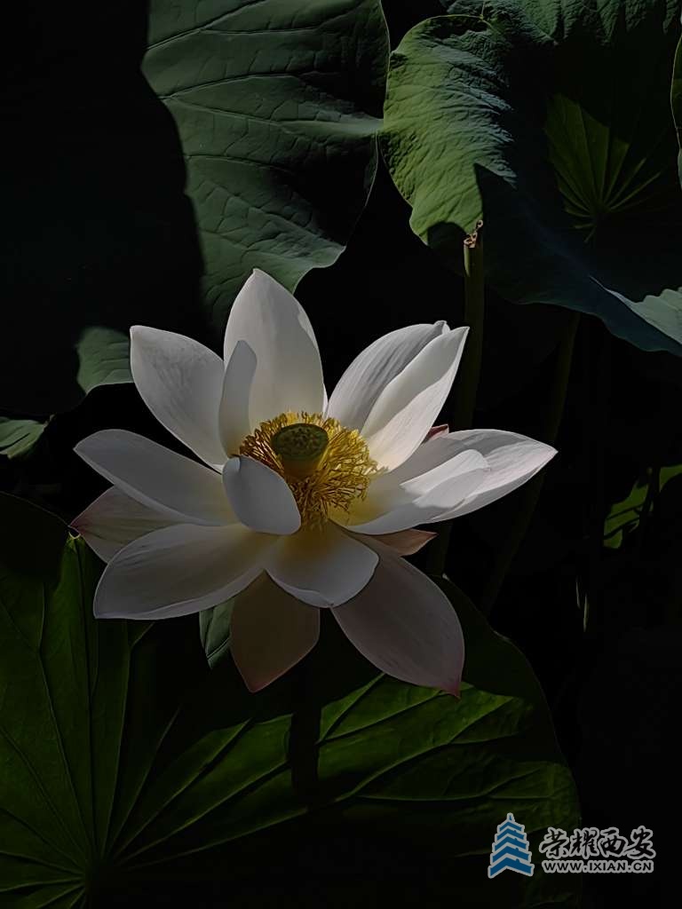 20230711082956front2_0_641165_FjDZ9zf5VIHU77-GWrXOGk2BlJl2.jpg
