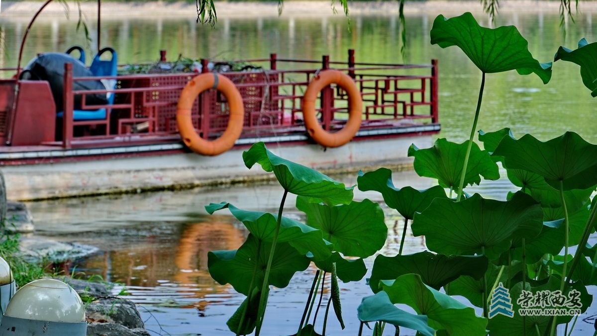 大唐芙蓉园24.JPG