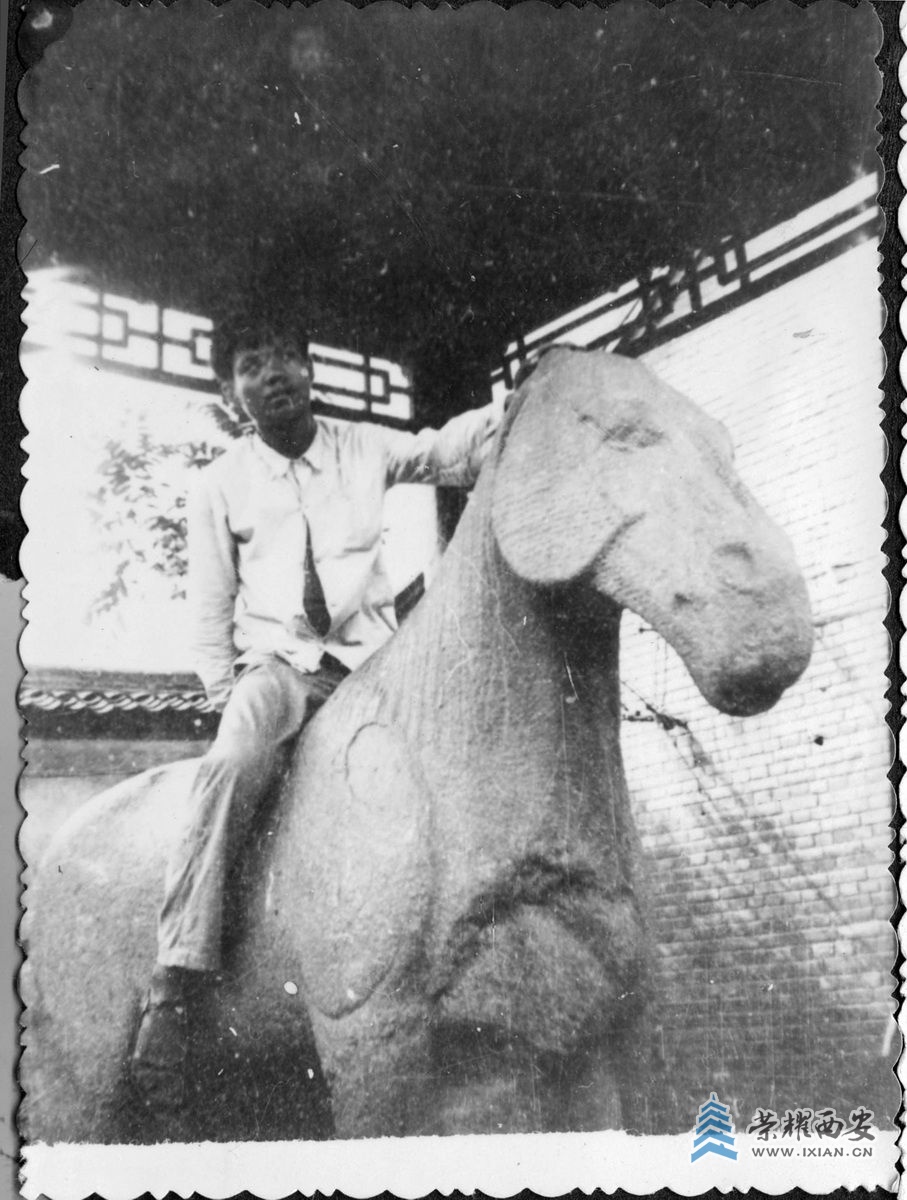 _碑林博物馆07.jpg