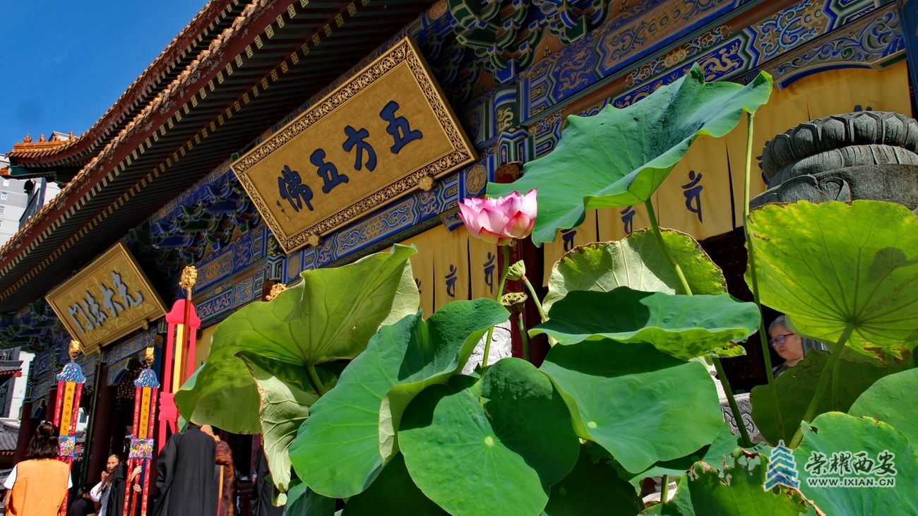 大兴善寺006.JPG