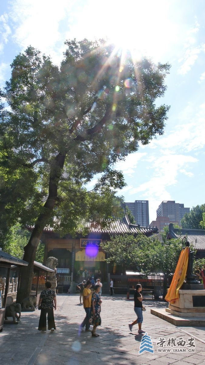 大兴善寺019.JPG
