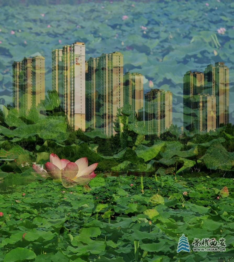 20230719200731front2_0_627177_FhiUKnDxULO_qBOEC7X8WJQyl2kS.jpg