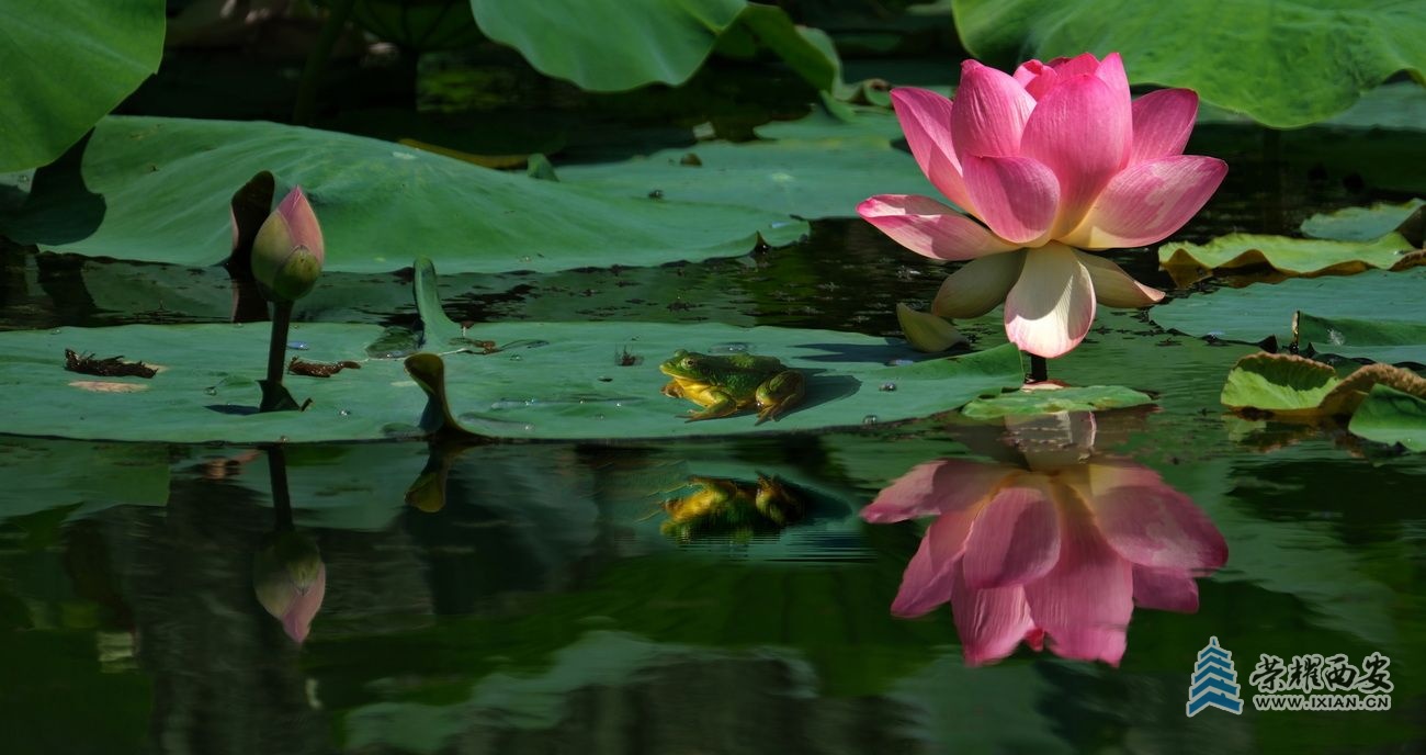 桃花潭01.JPG