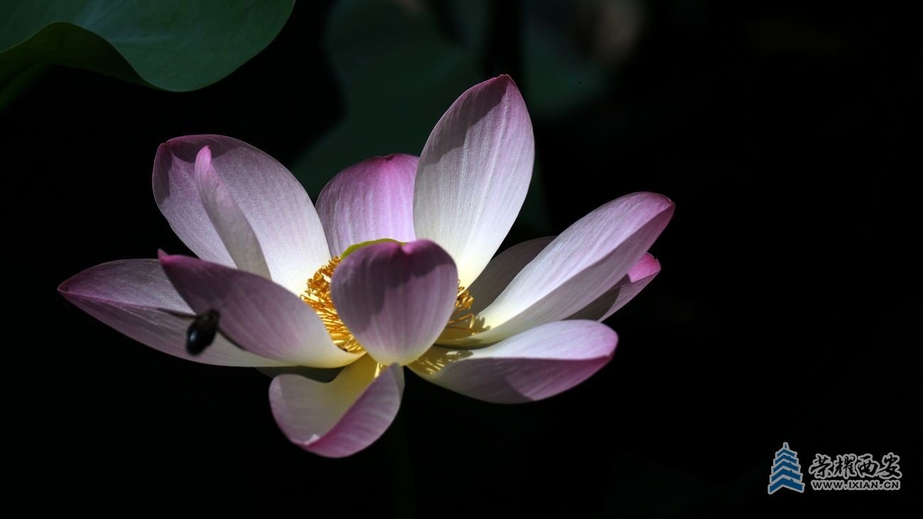 桃花潭19.JPG