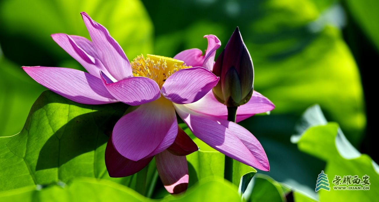 _桃花潭 32.JPG