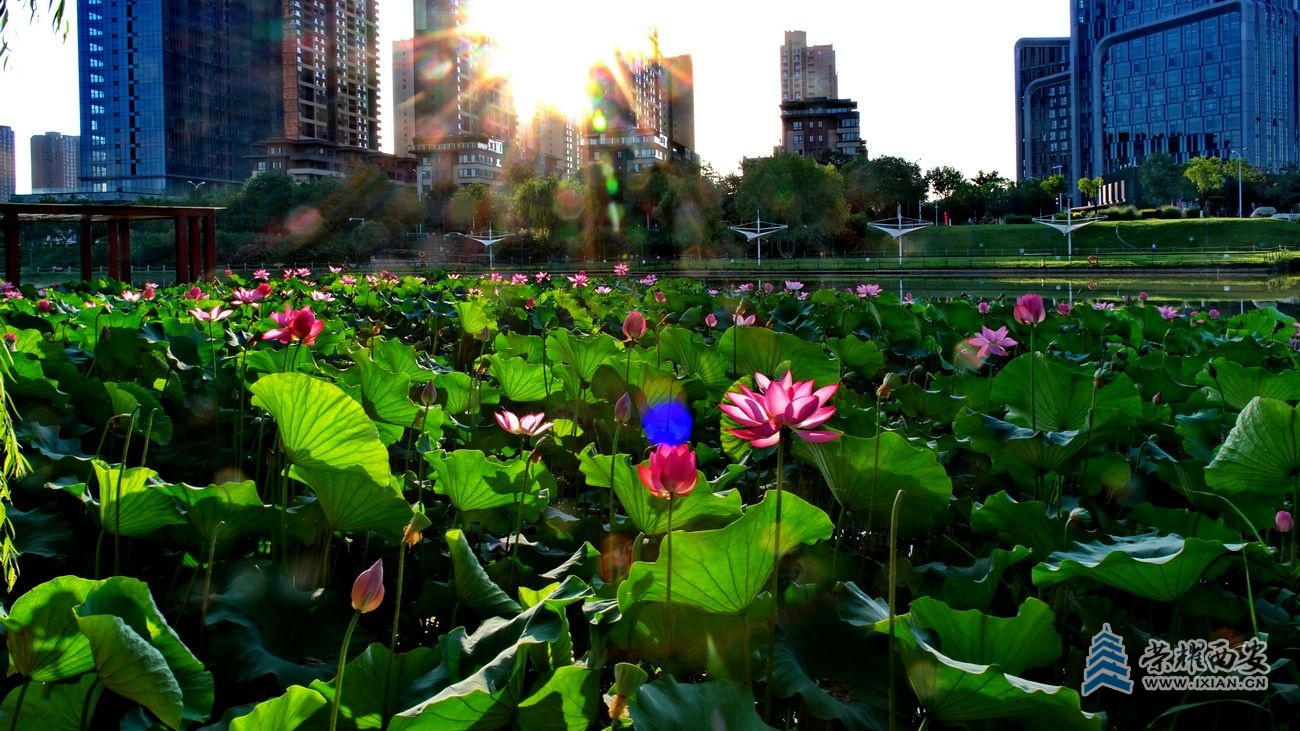 _桃花潭 42.JPG
