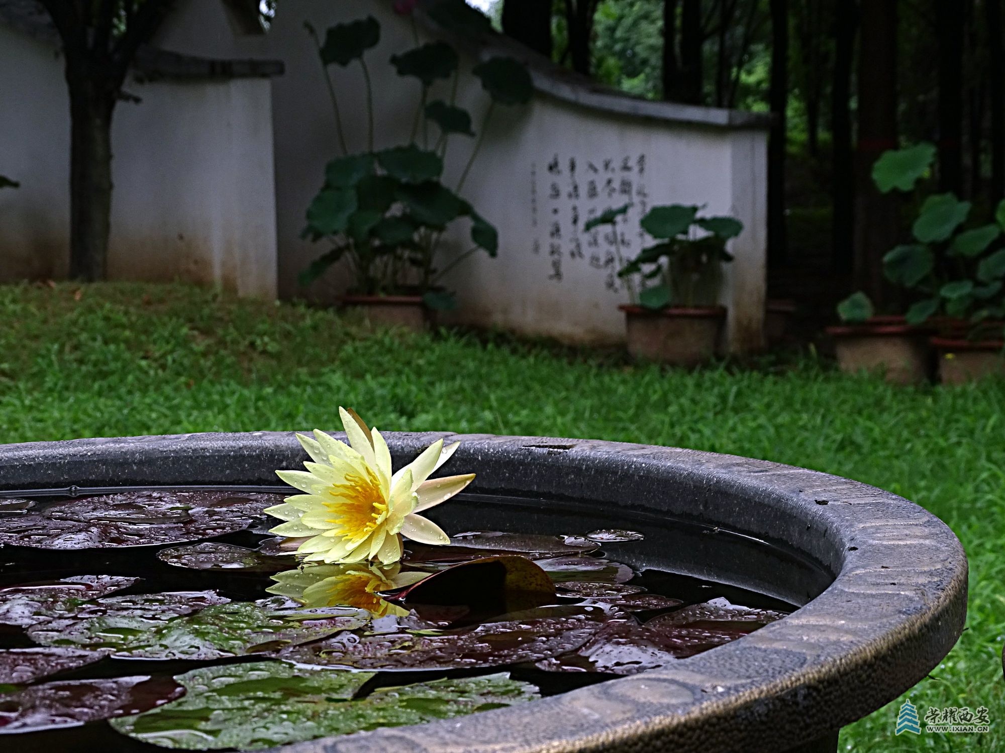DSC09381 - 副本.jpg