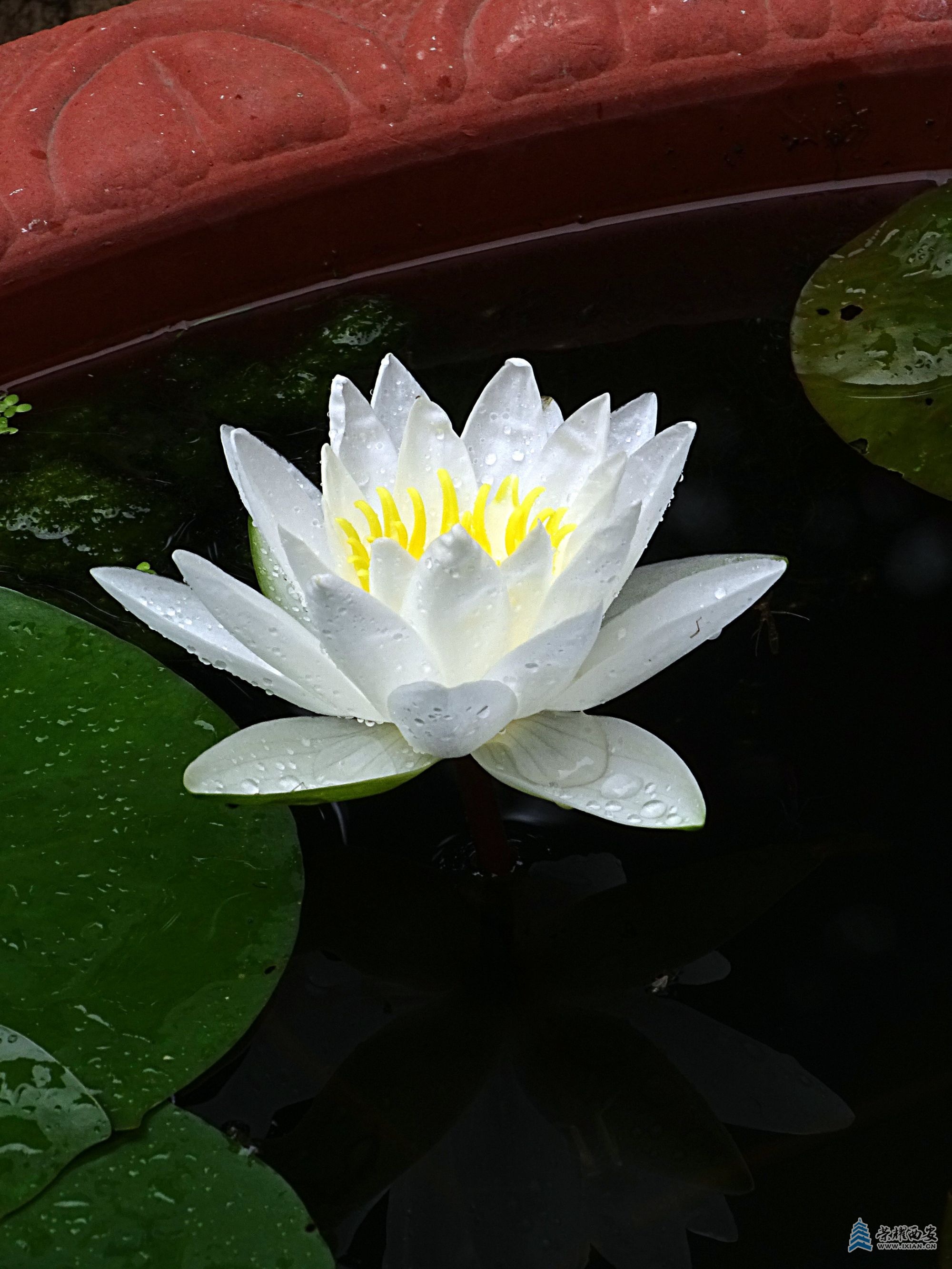 DSC09384 - 副本.jpg