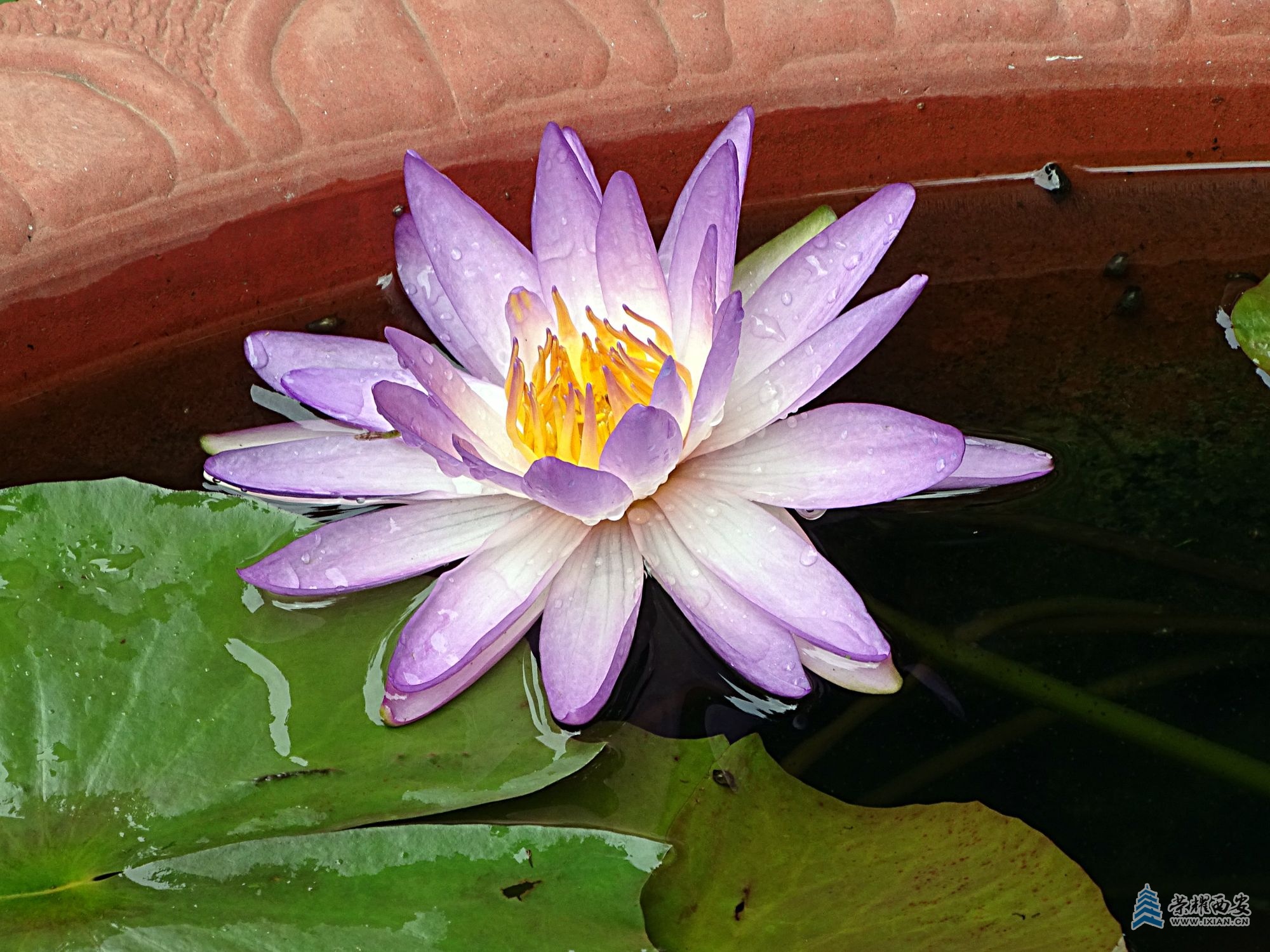 DSC09383 - 副本.jpg