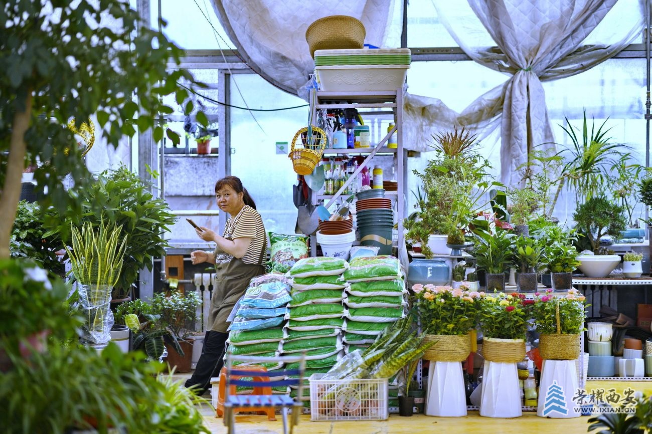 -含元花世界41.JPG