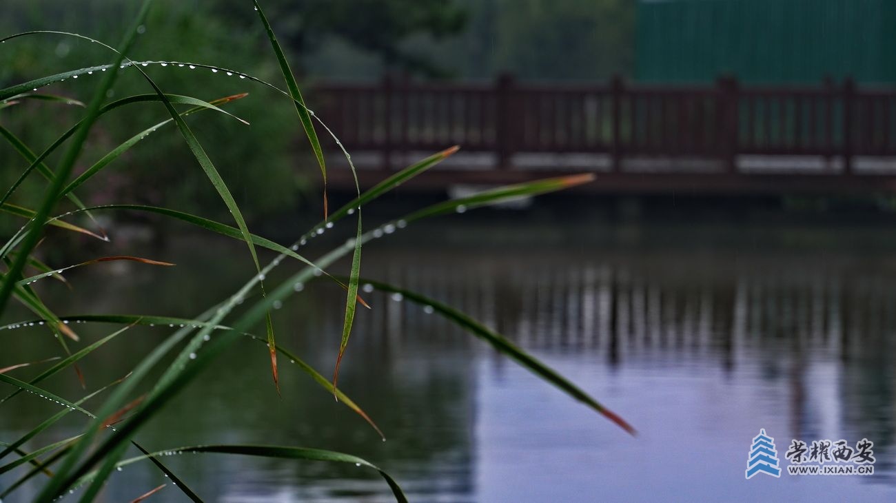 雁鸣湖007.JPG