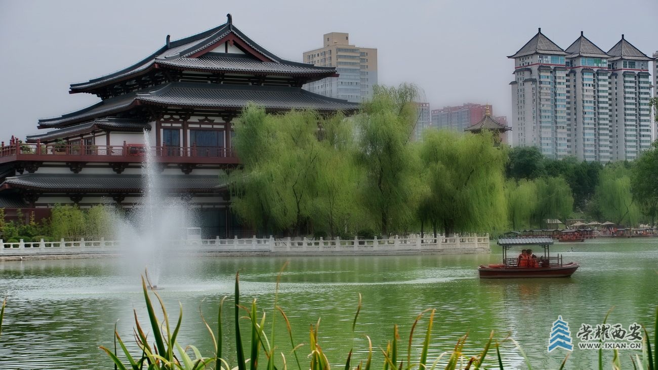 兴庆公园6.JPG