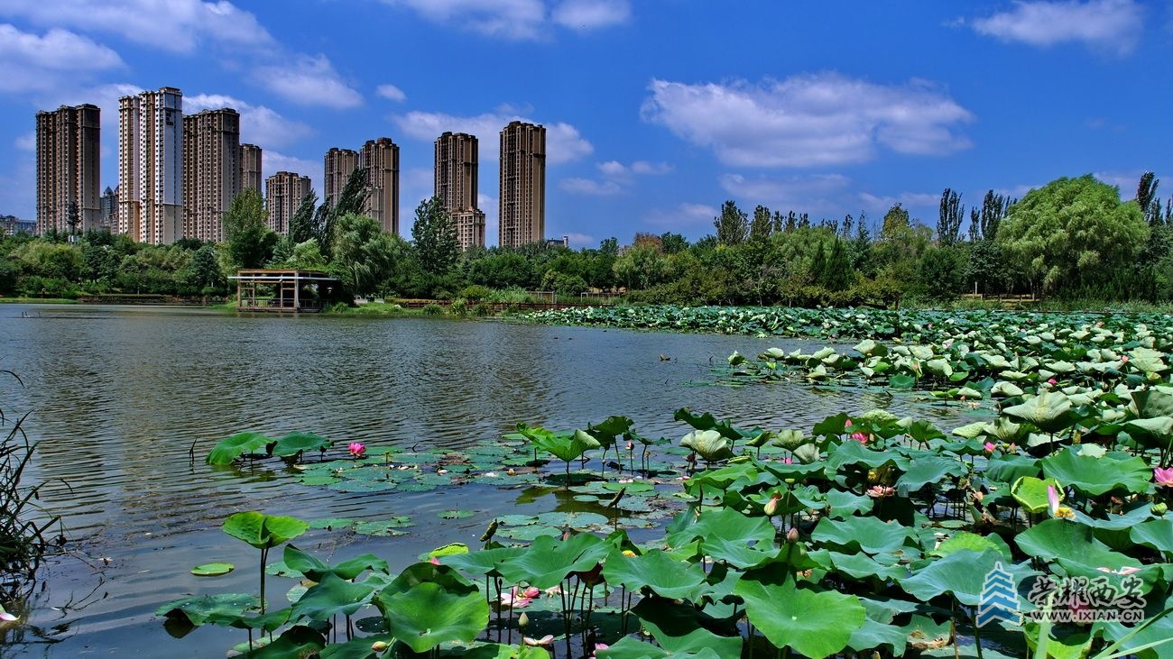 桃花潭3.JPG