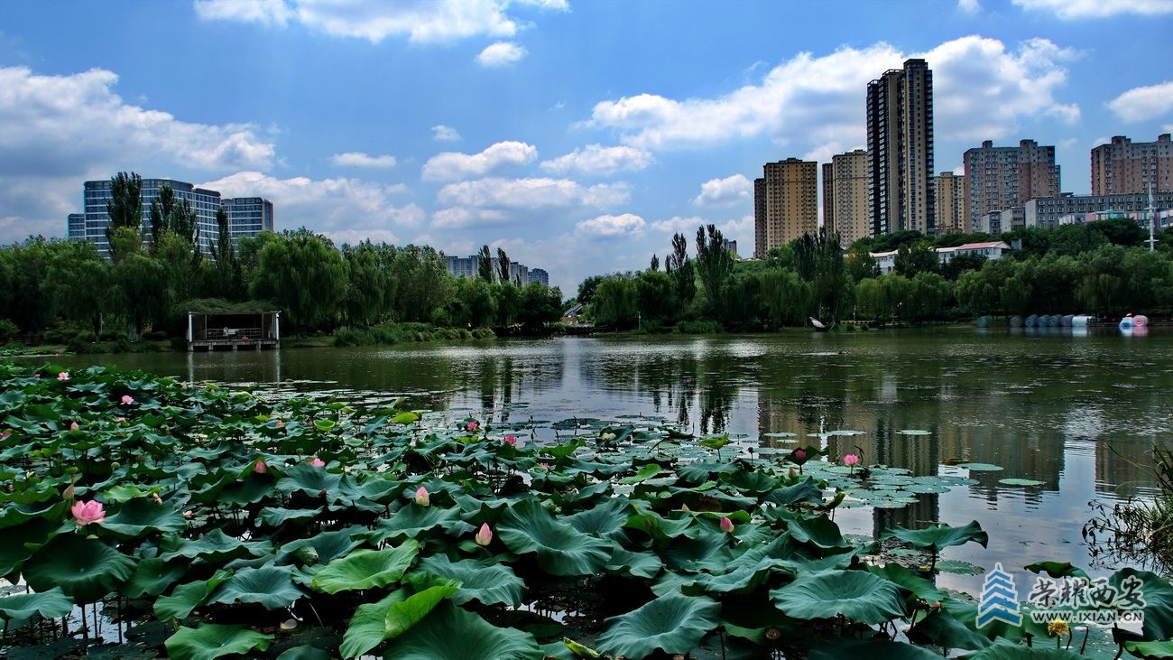 桃花潭7.JPG