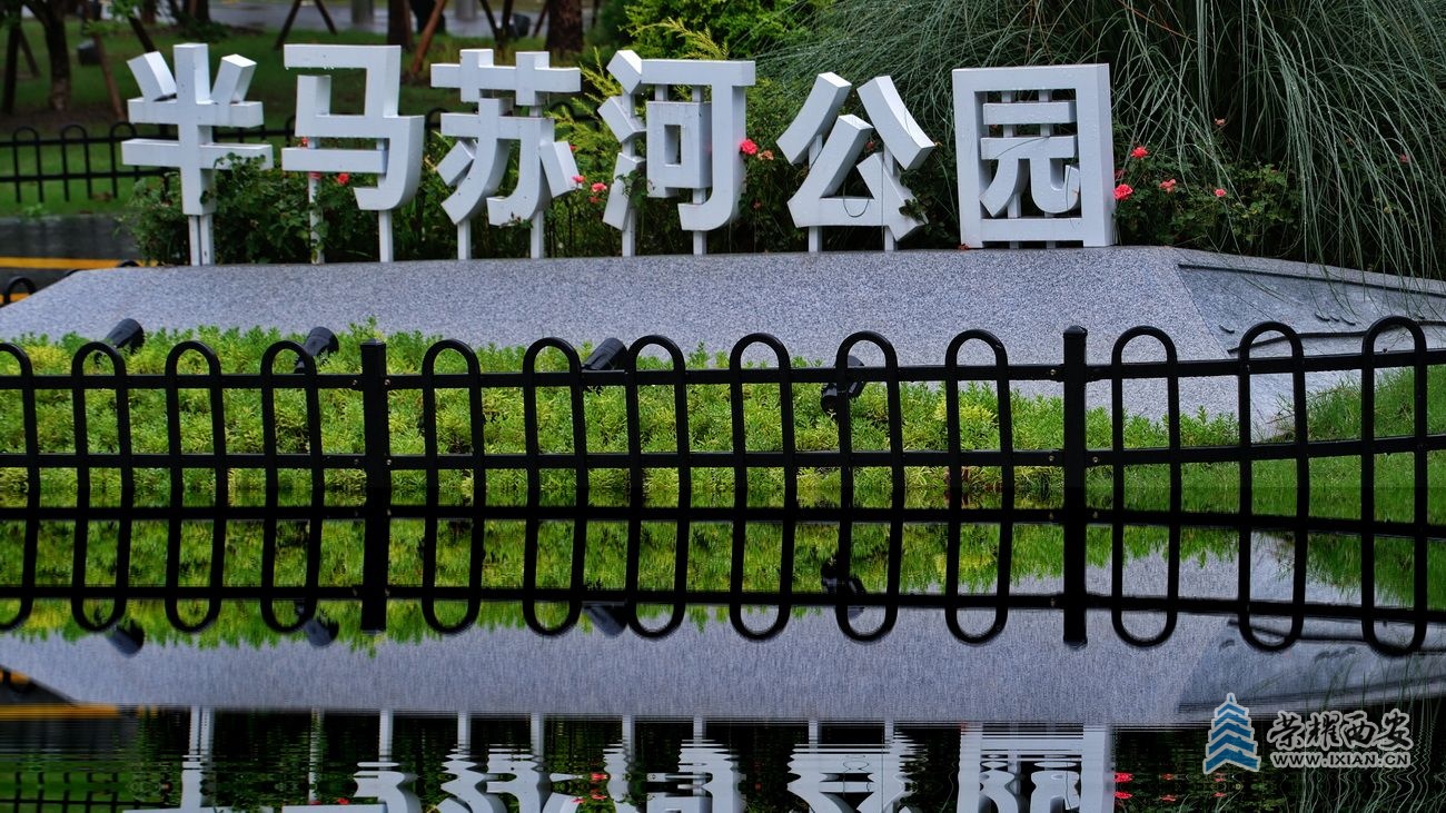 -苏河半马公园14.JPG