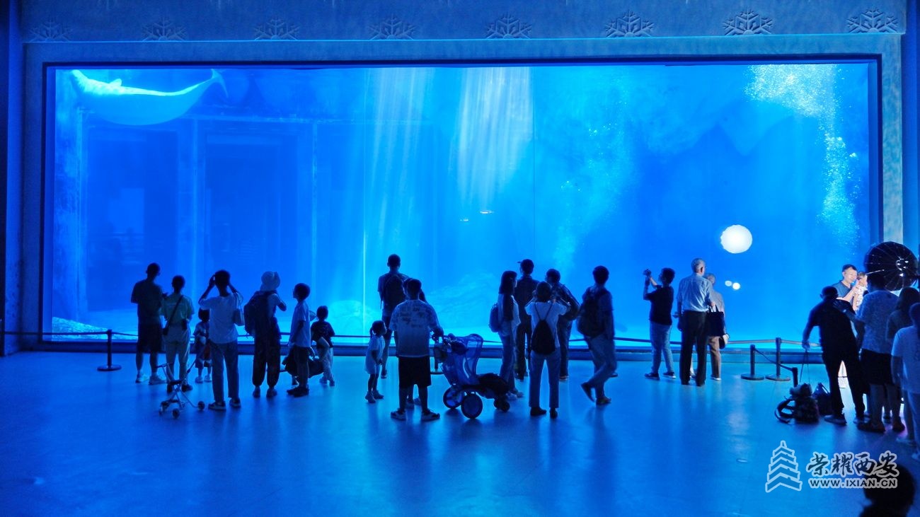 -海洋公园27.JPG