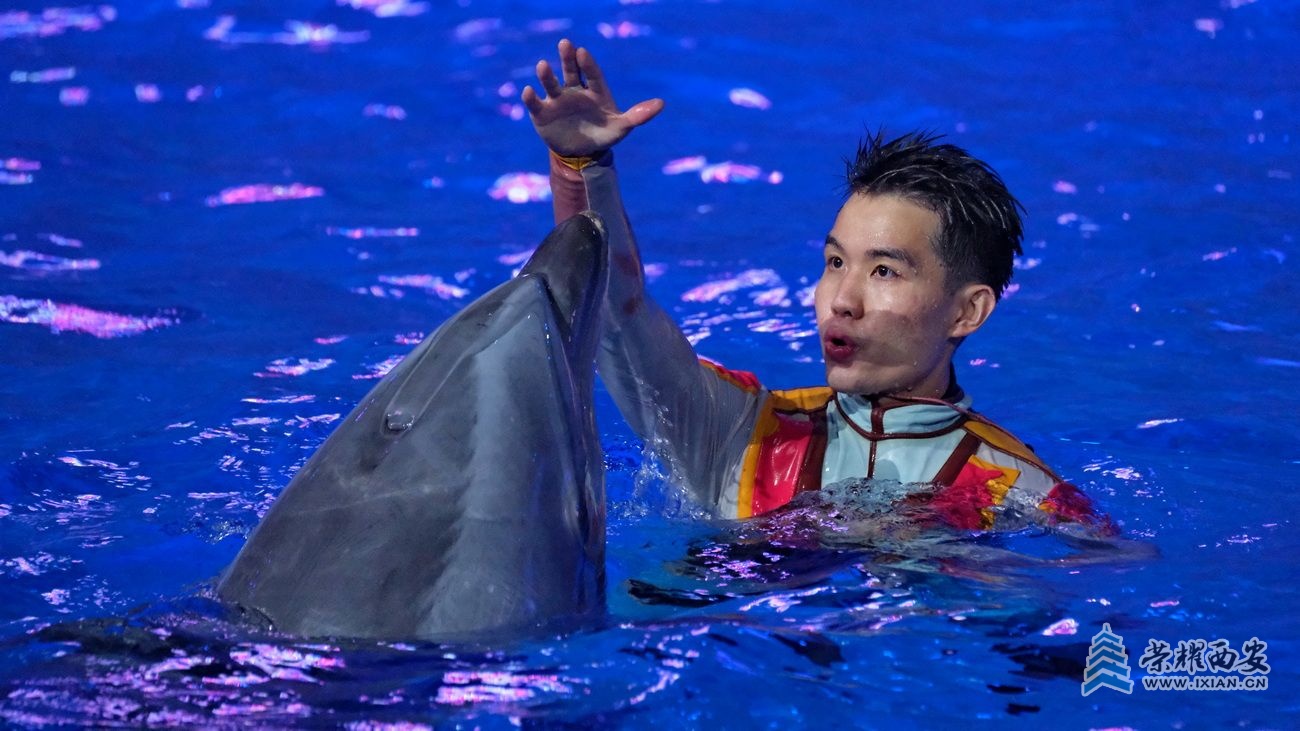 -海洋公园33.JPG