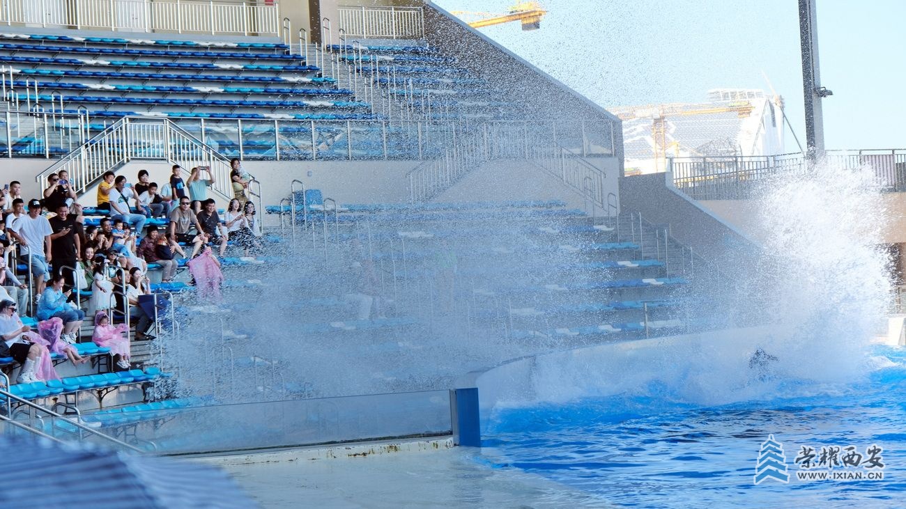 -海洋公园48.JPG