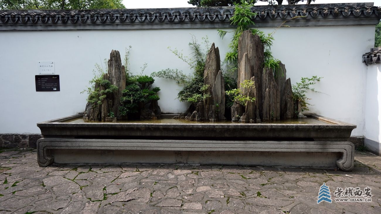 -上海植物园41.JPG