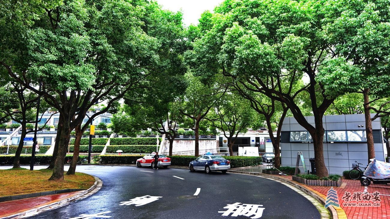 -上清站38.JPG
