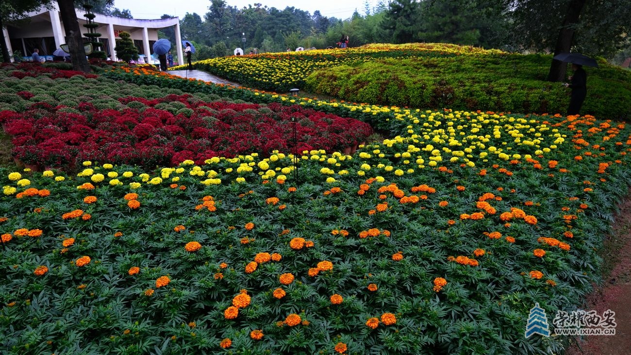-植物园33.JPG